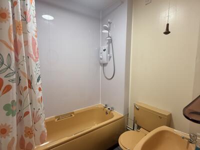 Picture 7